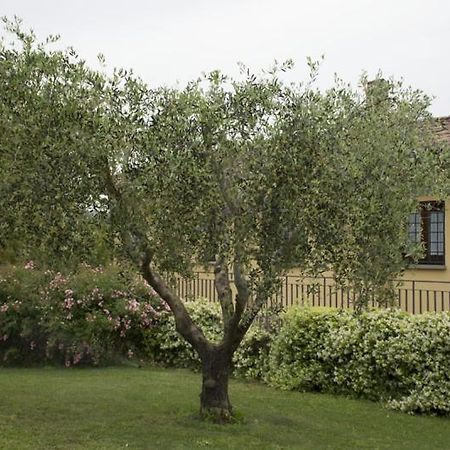 Agriturismo Scuderie Della Contea Sutri Kültér fotó