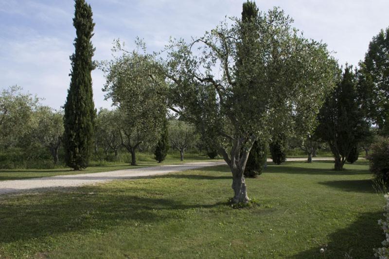 Agriturismo Scuderie Della Contea Sutri Kültér fotó